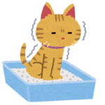 【猫の小話２】トイレ粗相にあったなら。ネコの言い分。
